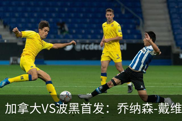 加拿大VS波黑首发：乔纳森-戴维出战 哲科稳坐替补席