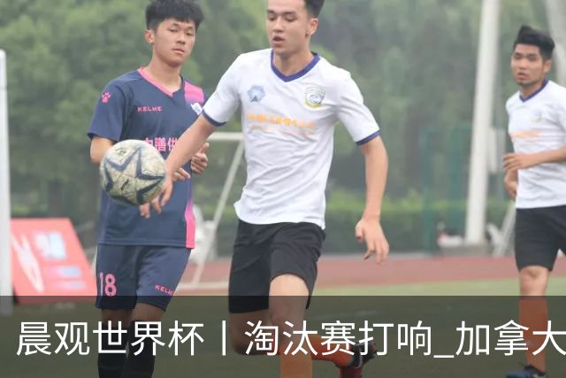 晨观世界杯丨淘汰赛打响 加拿大“绝杀”首进16强