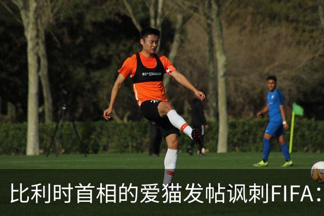 比利时首相的爱猫发帖讽刺FIFA：“红牌？”我照样继续踢！